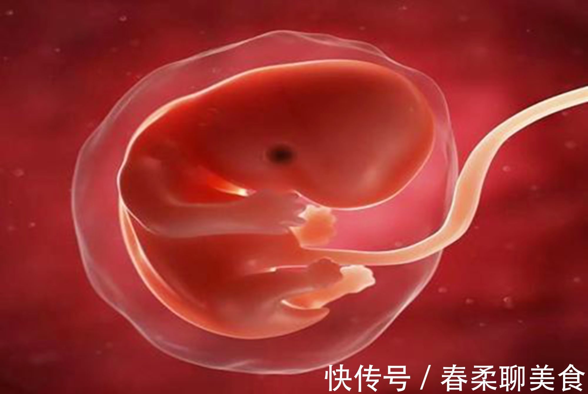 补充营养|宝妈要了解胎儿的“猛涨期”,如果补得早,肉可能会长在自己身上