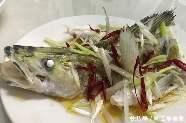 凶猛梭鲈鱼入侵山东多地,临沂钓鱼人:钓了几条,以为是鳜鱼