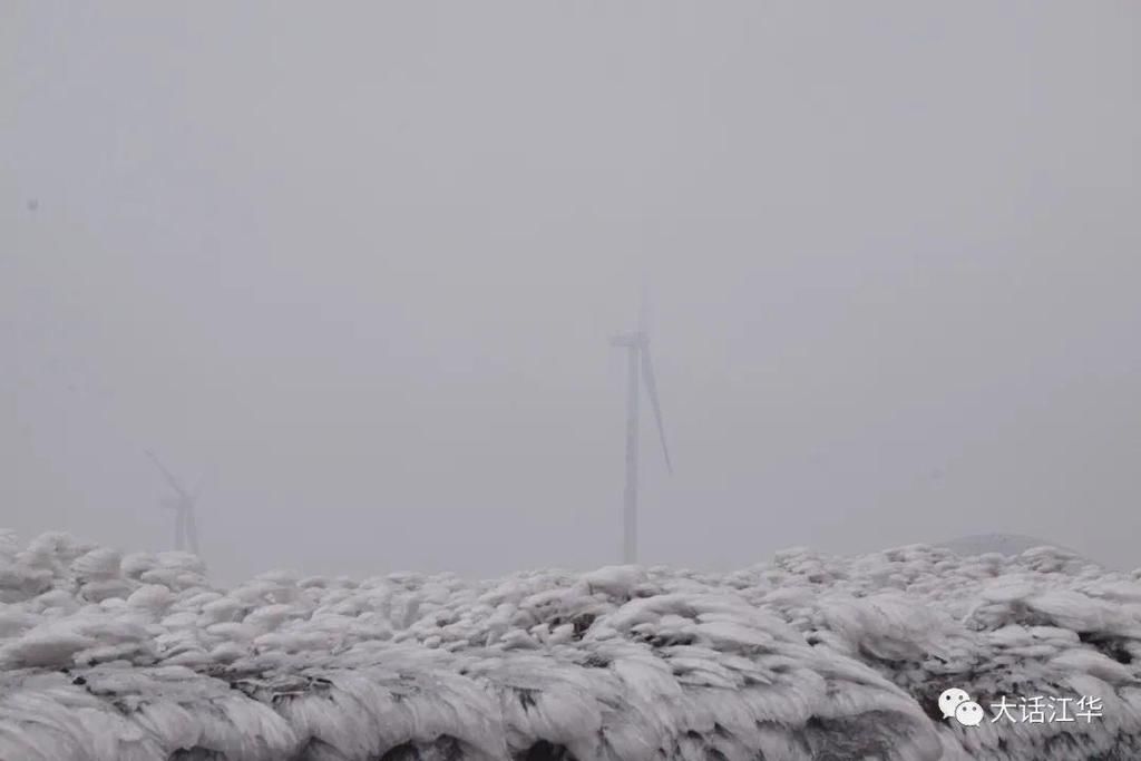 人间|云开雾散，今日的西边大岭，美如仙境！