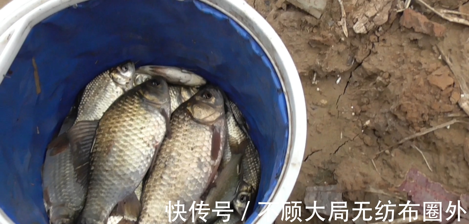 鱼窝都在什么位置?冬季找鱼比打窝更关键,30年老钓友告诉你