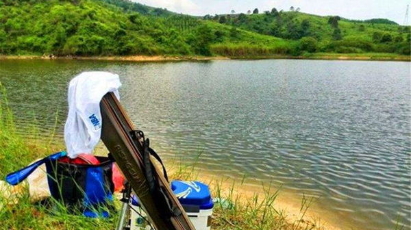 水草|夏季手竿钓草鱼心得钓点饵料很关键,选择得当,钓草鱼不是难事