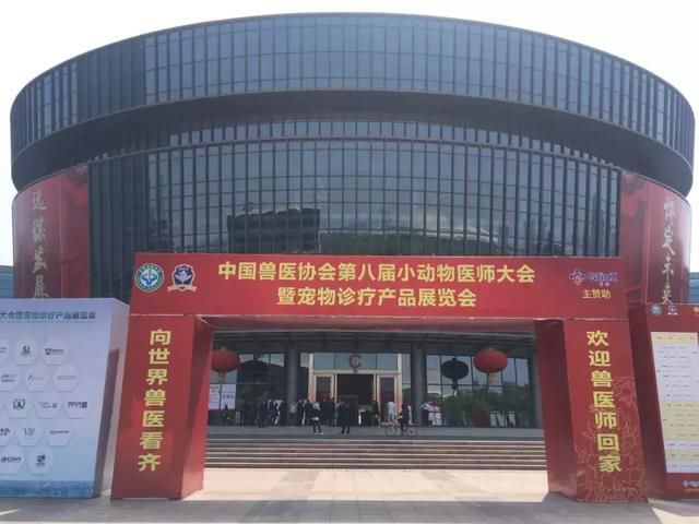 义乌迎来第八届中国小动物医师大会,发现
