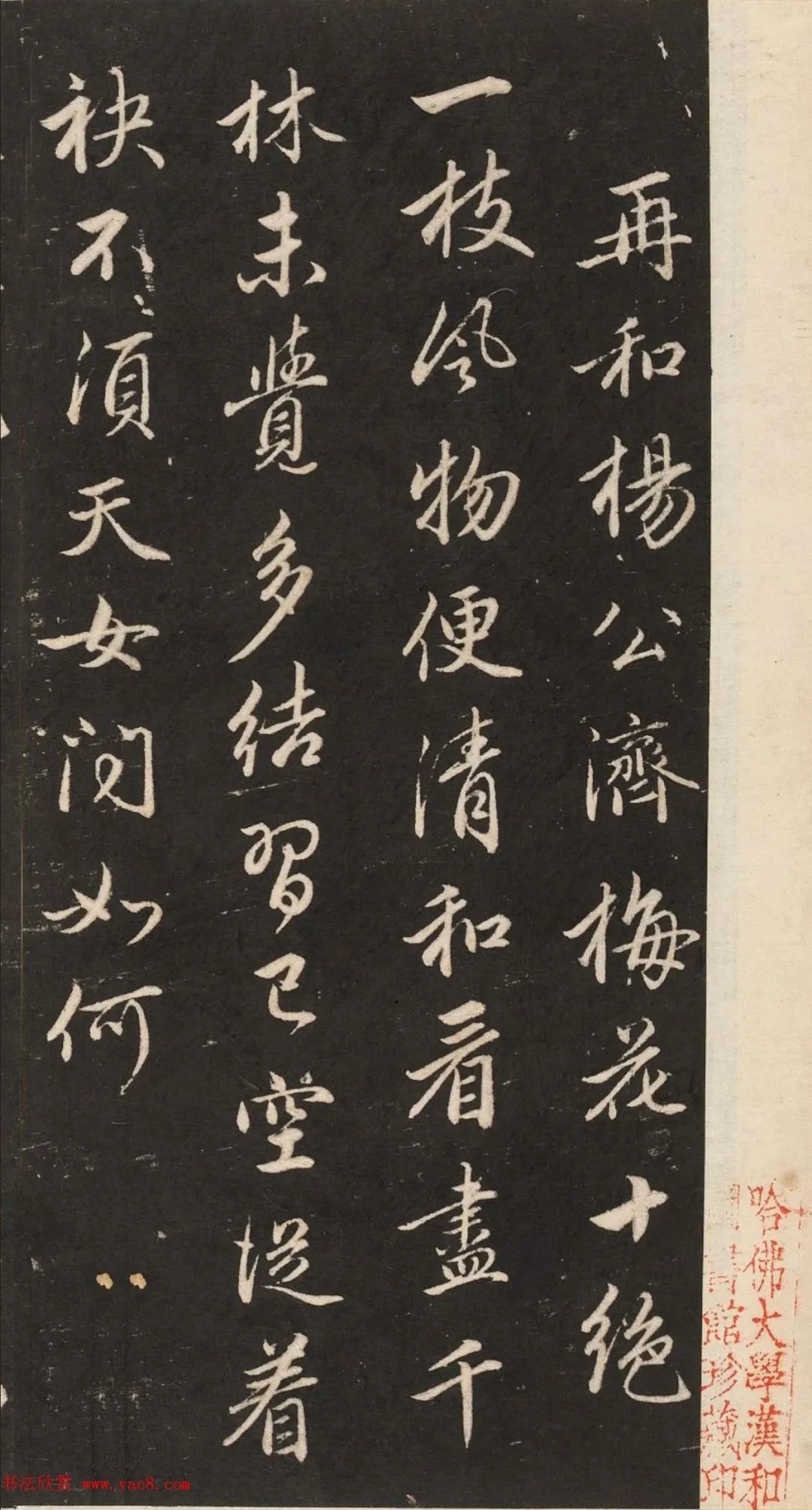 梅花诗|赵孟頫 行书《梅花诗》