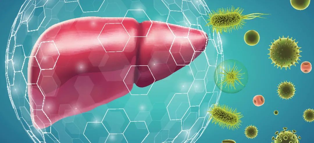 乙肝|“甲乙丙丁戊”五种肝炎“性格迥异”，彻底弄懂乙肝五项指标