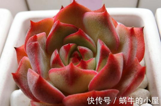 原来你也可以色的这么自然，色彩效果会非常震撼