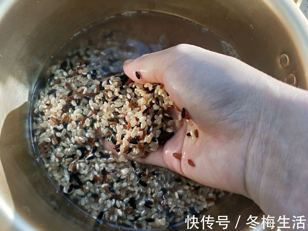 浸泡|杂粮营养丰富，煮成米饭，又香又好吃