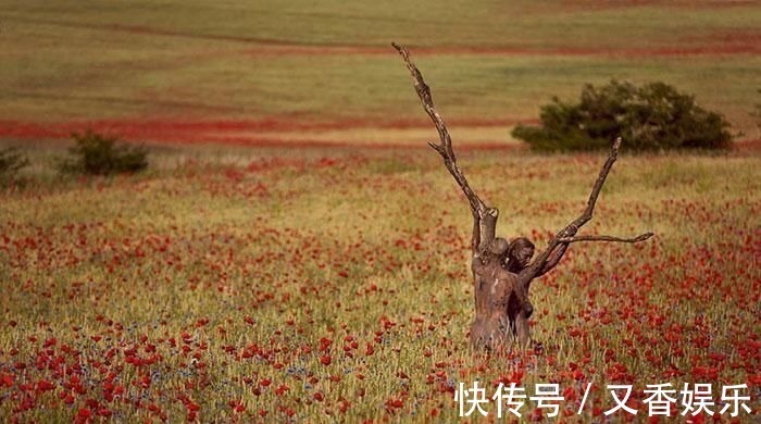 照片&德艺术家把不着片缕的美女隐藏在照片中，人体彩绘伪装下佳人何在