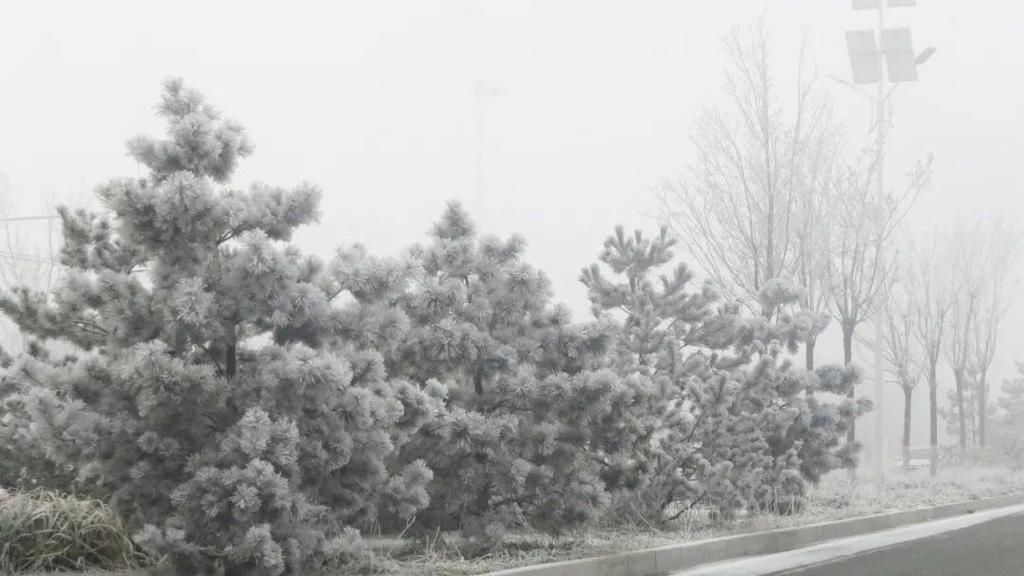 昨晚徐水又悄悄下了一场“雪”！