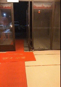 |搞笑GIF:再骚的王者也怕丈母娘,不信你看这哥们