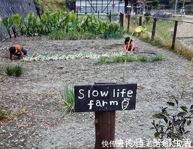 看了這位日本媽媽的日常曬照,一方小院的鄉(xiāng)下的生活,令人羨慕