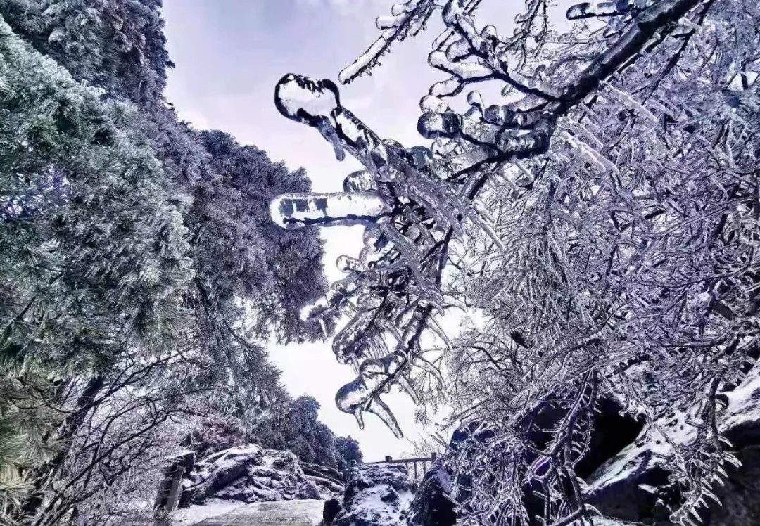 《你好，李焕英》鸡公山景区3月1日至3月8日对所有女神免门票啦！