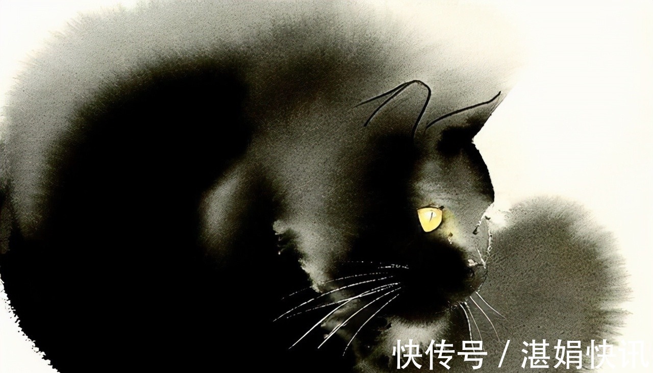 恩德雷!水墨是中国传统绘画,老外用它画动物——别说另有一番意境