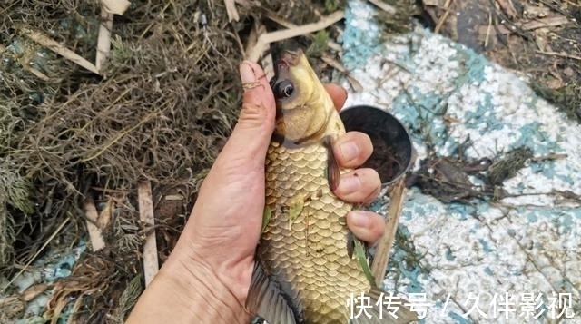 分享一种奇葩的做窝方式，成本低效果好，就是有点累人！