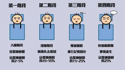 睡眠|关于睡觉的十二个睡眠知识