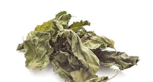 血管|有1种叶子晒干煮水喝,把甘油三酯“冲走”,血管也通畅干净