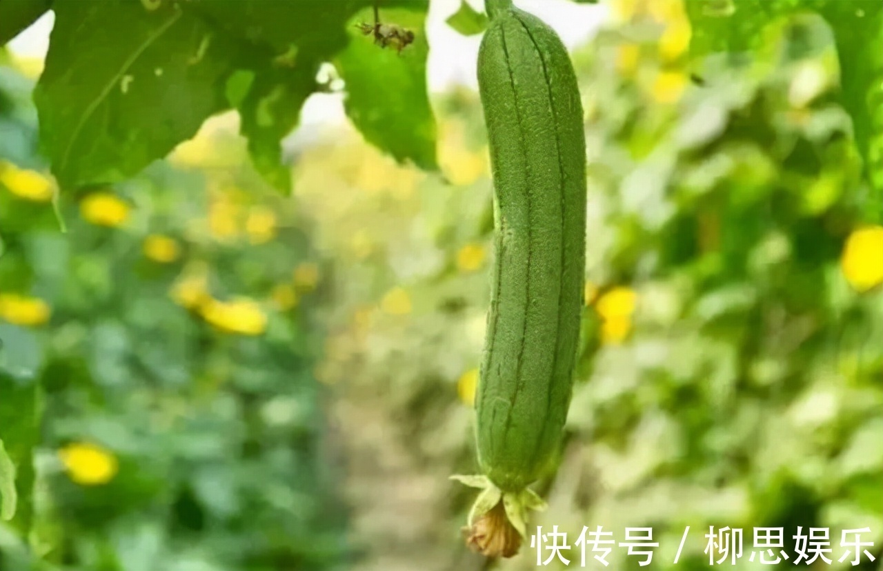 转化酶|冬季来了,多吃以下三种食物,补充营养,排毒抗衰,早吃早受益