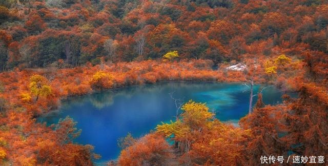 九寨归来不看水，一年从头美到尾，九寨不唯绝世之水就在山水之间