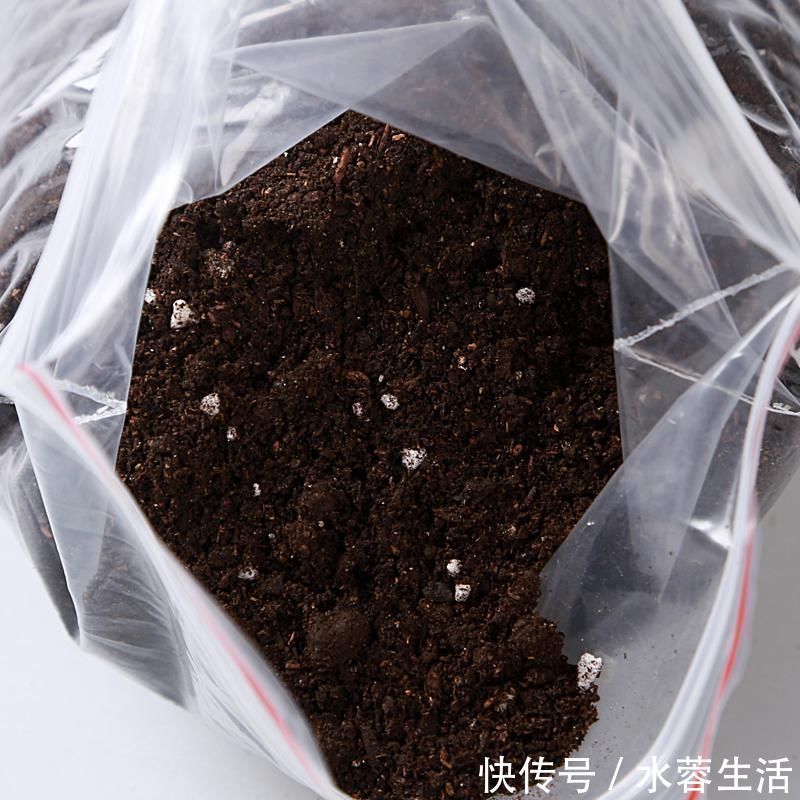 土壤|养花的“旧土”这样处理，秒变新的营养土，养啥都旺！