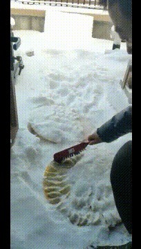 |搞笑GIF趣图：我们北方的饺子是这样放的，不知道南方的怎么放