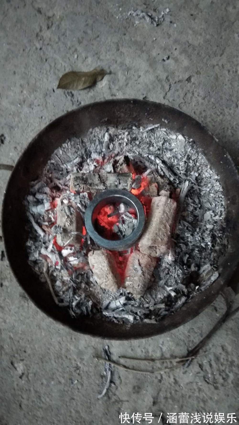 用废弃酒瓶,自己制作花盆,还不用切割机,再也不花钱买花盆了