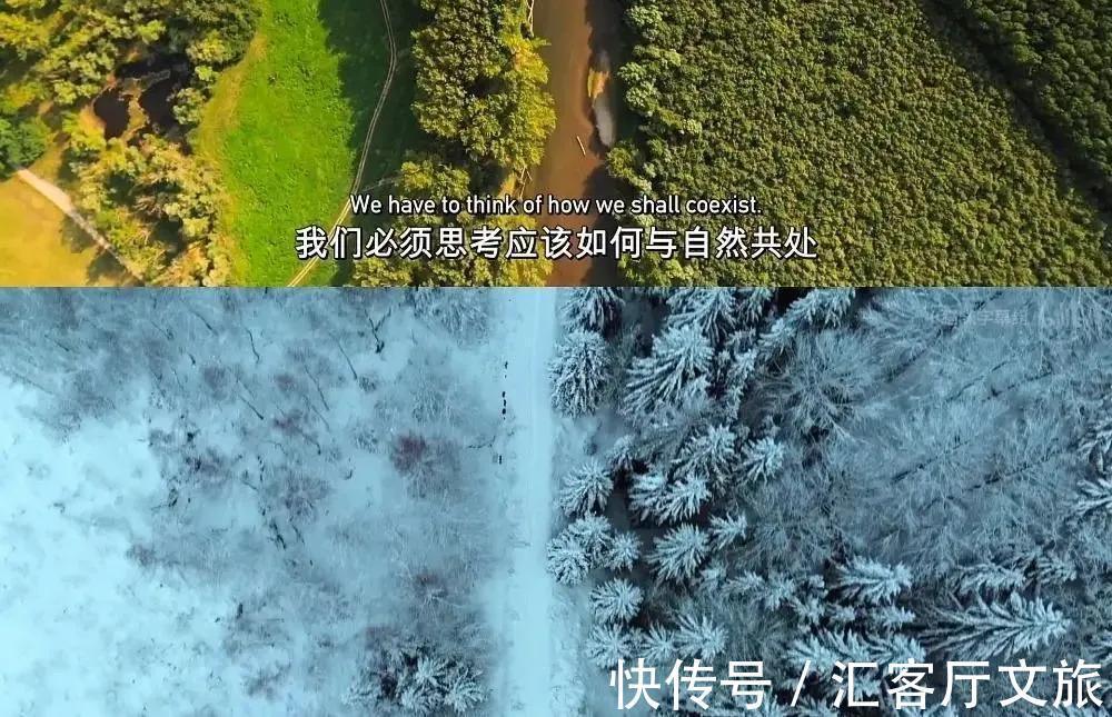 亚马逊雨林|恐将消失的10大美景，看到最后两个，我无语了……