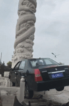 |搞笑GIF:有个这样的女友 肯定连五十都活不到