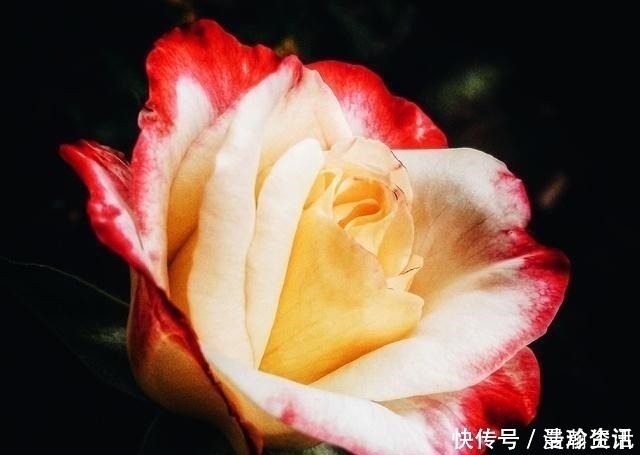 李煜$李煜这首词写得如此悲伤,花间带雨如含泪,令人读来心已碎