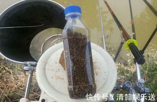 步骤|打窝子的步骤，在实际垂钓中，如何操作