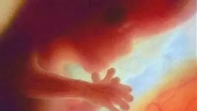 胎动|一组图记录怀胎十月,胎儿发育全过程,看完后,感叹生命神奇