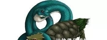 渊源&神兽玄武和真武大帝有什么关系,玄武和真武大帝的渊源