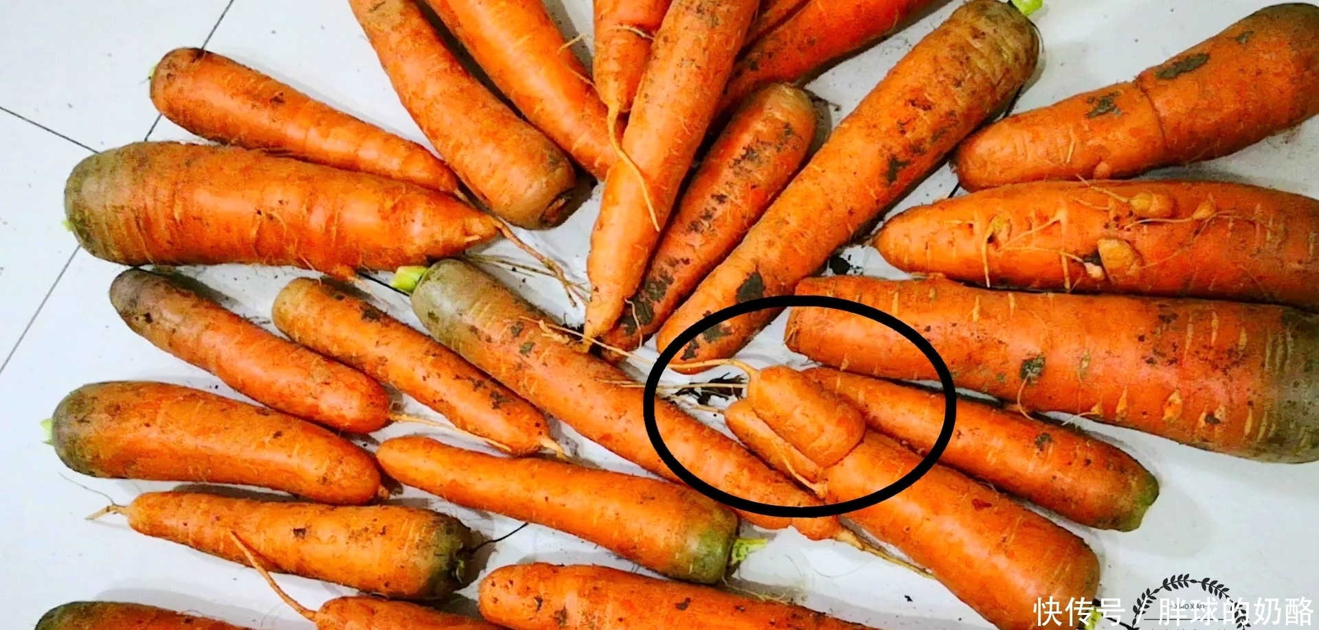 买胡萝卜时，牢记“3买3不买”，学会不吃亏，菜贩也坑不到你