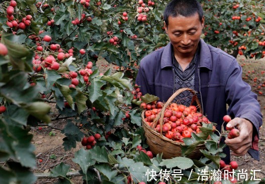 王嫂|75岁专家：2种水果吃一次半月难消化，家长少给孩子吃，影响长高