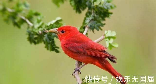 小聪明&做人不能太聪明的七种“心计”,尽早悟透,人生反而会越来越顺