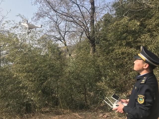 骊山|守护好骊山绿水青山