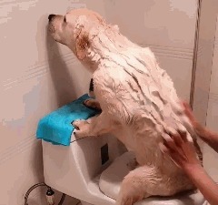 |搞笑GIF:这就是你们想要的大长腿小姐姐吗,真心厉害了啊