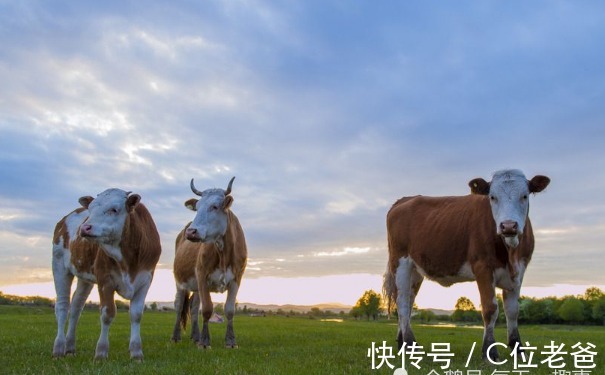 命数|“大金牛”晚年命数，尤其强调1973年的，人老了该依靠谁呢？