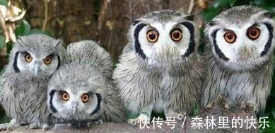 |笑话段子:前女友打电话过来,居然是为了……