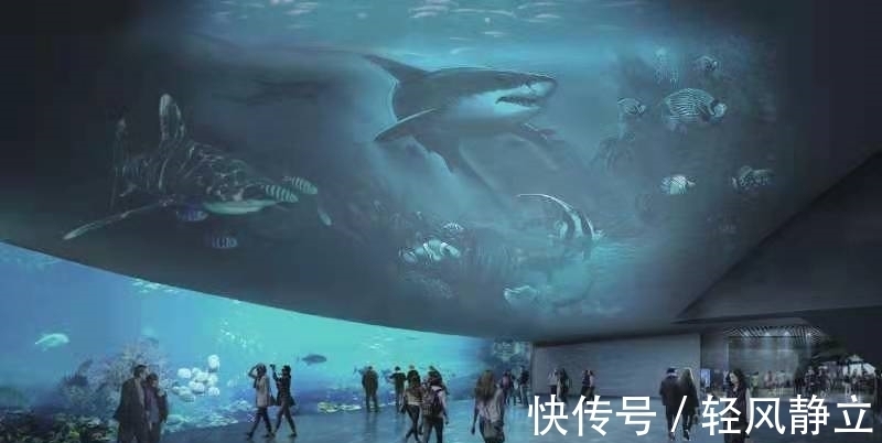 海洋|将建全球最大的“青蓝洞”!小梅沙海洋世界海洋馆封顶，预计2024年营业