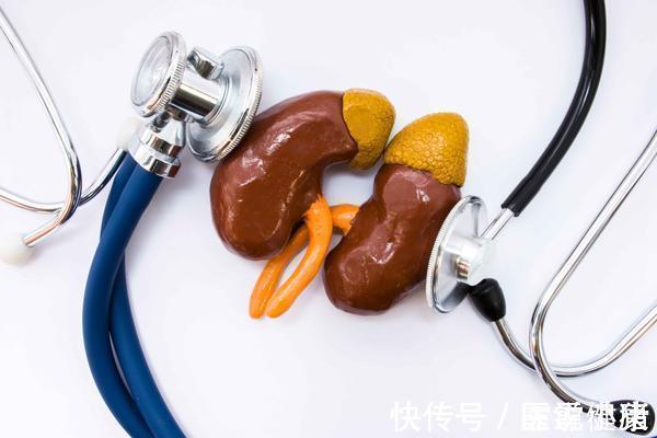 肾脏|患有肾炎不重视,会损伤到肾功能,做好这5件事,或能缓解病情