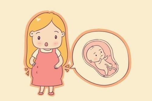 孕期没有胎动,以为孩子发育不良,其实暗示着好信号 怀孕期间|放心|孕