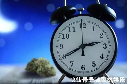 洋甘菊|橘子皮别扔掉, 这样使用它, 能帮你解决失眠问题!