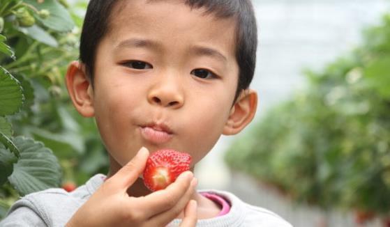 奇奇|孩子经常生病，儿科医生：晚上2不要，早上2坚持，孩子长高发育好