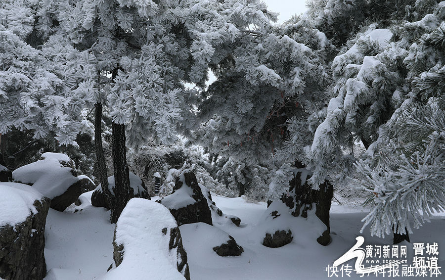 老年|晋城：雪霁王莽岭