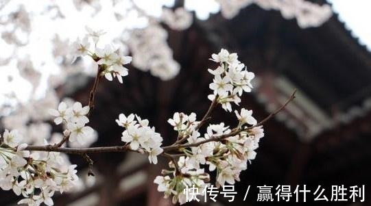 金舆@史上最著名的一首骂皇帝诗,却因写得水平太高,皇帝都不禁嘉赏!