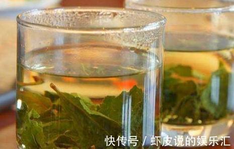 还用茶水浇花，这些坏处要知道，使用方法很重要，看看吧