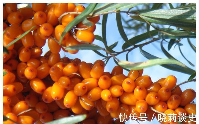 坏死|4岁女娃查出肠坏死,奶奶后悔不已,医生:1物父母还在傻傻的喂