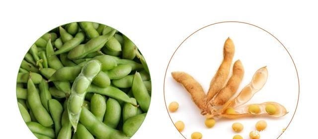 钙含量比牛奶还高!夏季营养流失快,吃了补钙补钾,5块钱一大锅