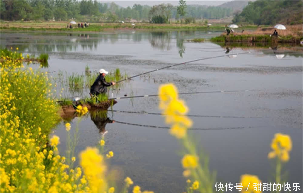 春季钓浅滩，这些浅滩才是春钓的主战场，这里下竿不愁钓不到鱼！