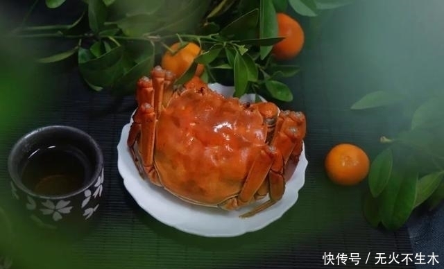  食材|为什么说阳澄湖的蟹，是中国的顶级食材