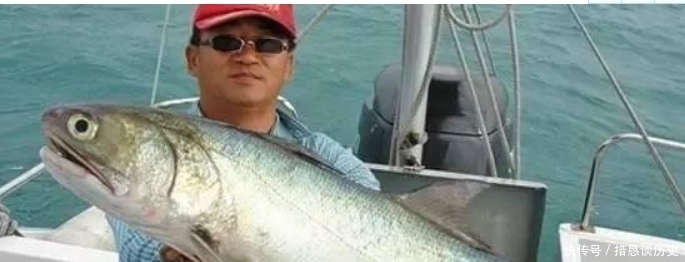 耽误|被名字“耽误”的四种海鲜,听名字被人嫌弃,吃过之后都“黑转粉”!